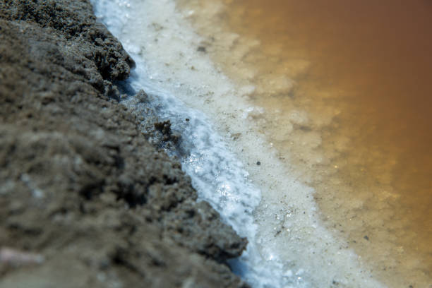 istock Brown water, salt, and soil 1145454157