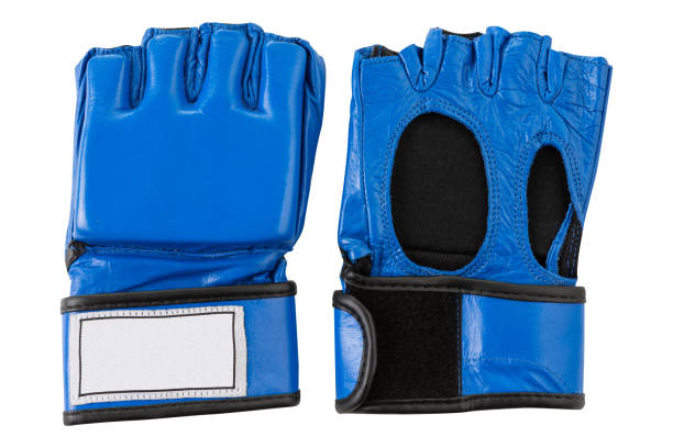 istock blue leather gloves, for karate, fingerless, pair, on a white background 1145456209