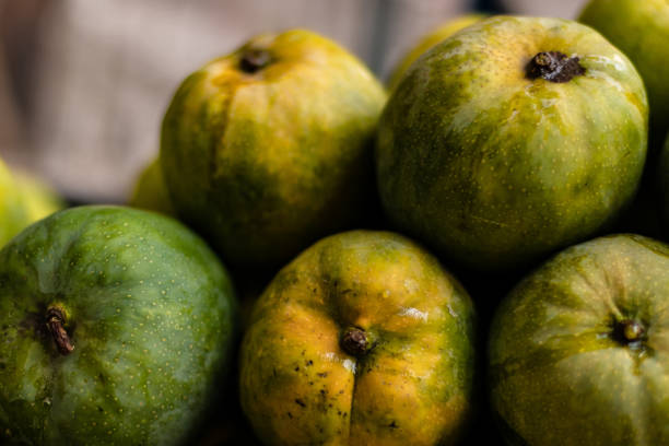 istock Delicious and Colorful Indian Mangos 1145457239