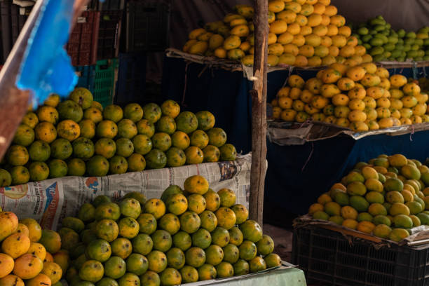 istock Delicious and Colorful Indian Mangos 1145457253