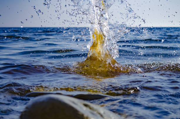Splashing wave on the Black sea in the day.
