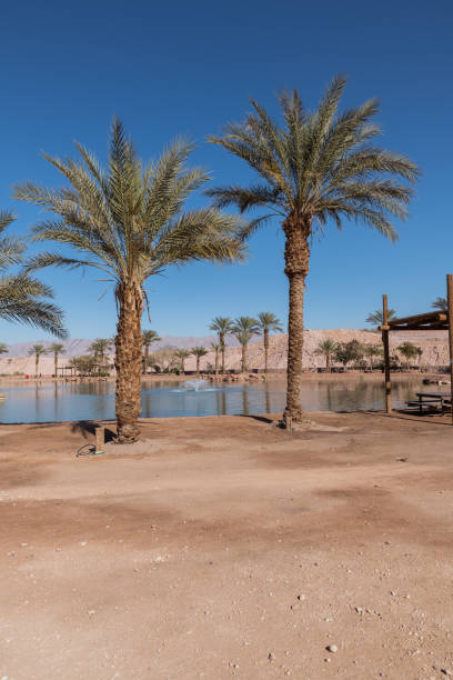 istock lake in timna national park 1145458273
