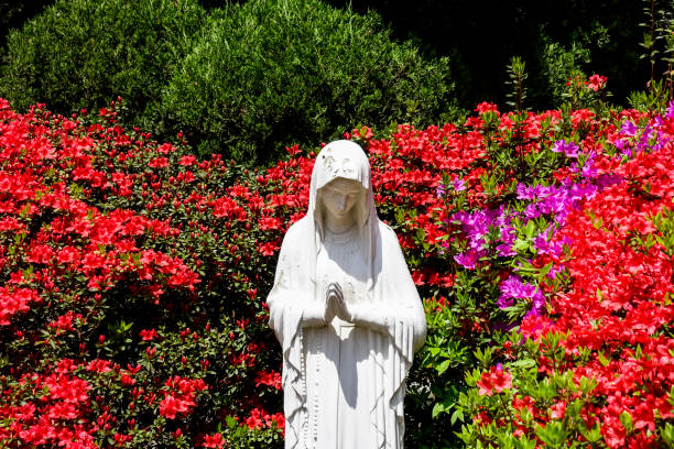 belles fleurs en pleine floraison et statue de vierge marie - statue angel marble white photos et images de collection