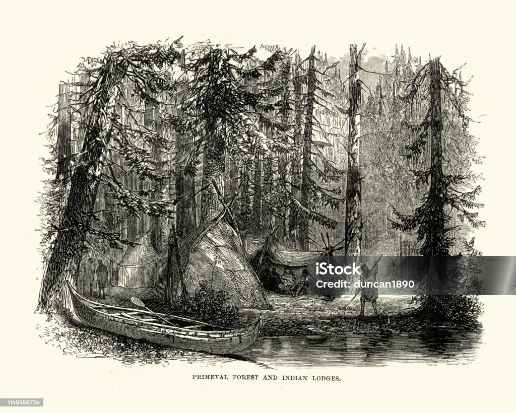 Native American lodges in the primeval forest, North America Vintage engraving of Native American lodges in the primeval forest, North America, 18th Century Indigenous Peoples of the Americas stock illustration