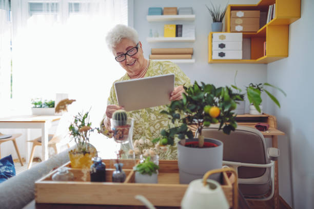 istock Senior woman at home 1145460637