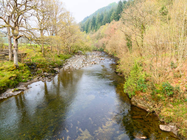 The shallow, clear, River Mawddach in Gwynedd, Wales, flows gently over rocks and between banks lined with rees and fields.