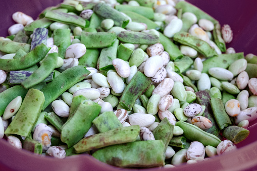 Preparation of shredded beans