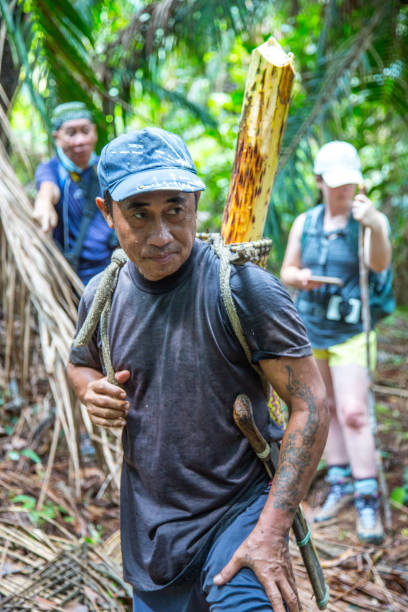 malásia: colheita de palma - iban tribe - fotografias e filmes do acervo