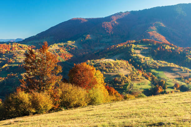 istock wonderful autumn afternoon in mountains 1145471604