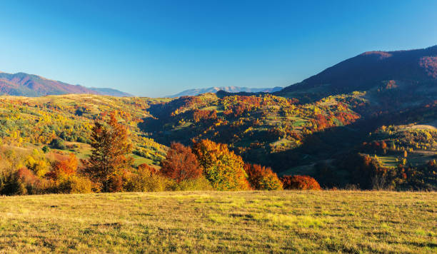 istock wonderful autumn afternoon in mountains 1145472337