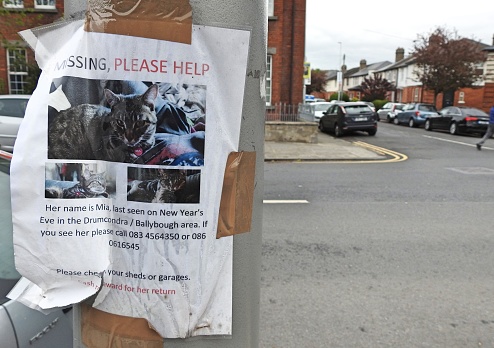 26th April 2019, Dublin, Ireland. Missing Cat notice, displayed on a lamppost on Clonliffe Road, Drumcondra.