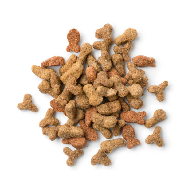 istock Heap of cat food 1145474004