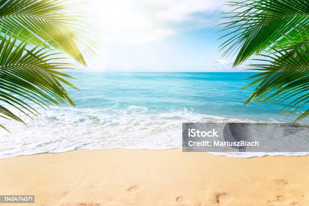 Tropischer Strandhintergrund Stockfoto und mehr Bilder von Strand - Strand, Bildhintergrund, Sommer