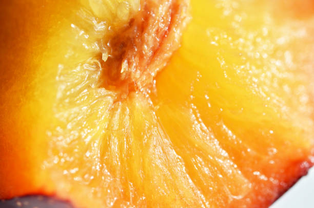 istock Fruit plum close up photo.  Macro photography, soft focus. 1145475475