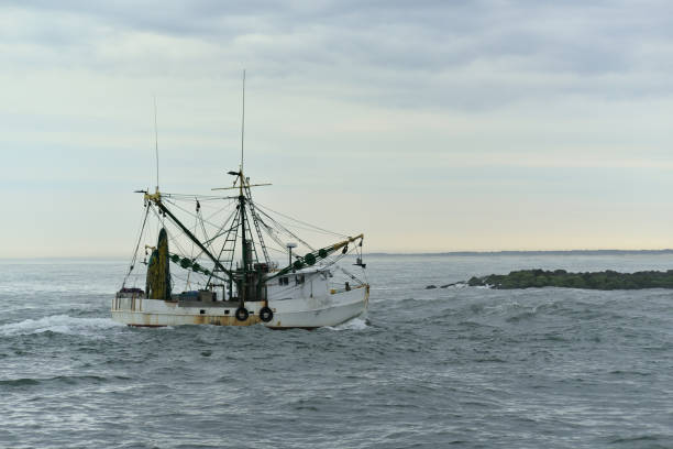 istock Trawler Riding Shoal - III 1145478943