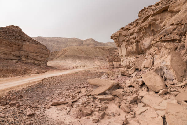 istock road in timna national park 1145479353