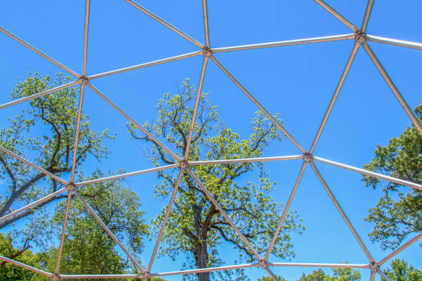 Geodesic dome frame climber - metal - Tall spring trees viewed through section with very blue sky - Background