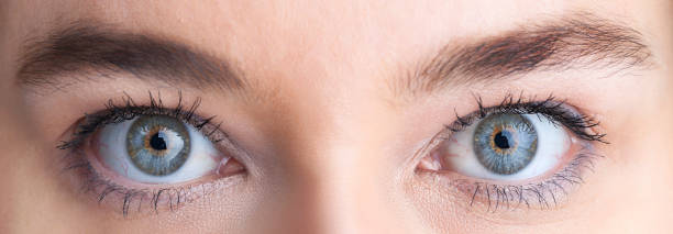istock Beautiful eyes, close up 1145481628