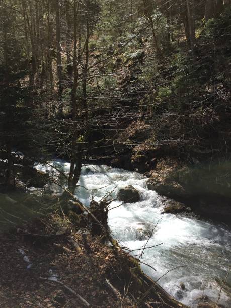 istock Wild mountain stream carrying melting water in early spring 1145481940