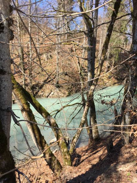 istock Wild mountain stream carrying melting water in early spring 1145481972