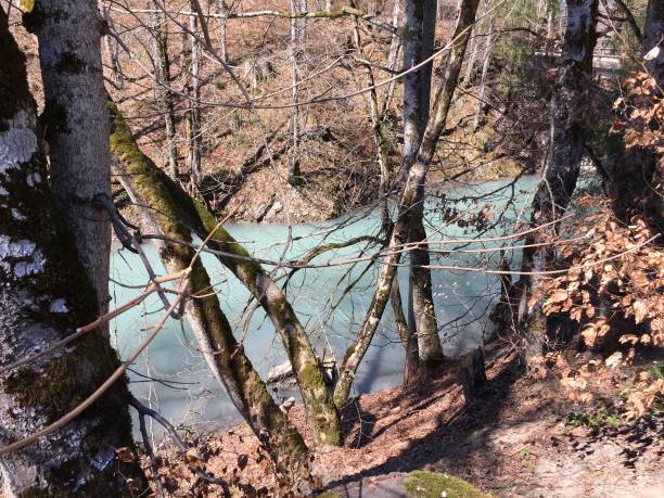 istock Wild mountain stream carrying melting water in early spring 1145481982