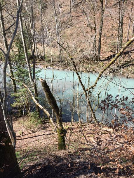 istock Wild mountain stream carrying melting water in early spring 1145481992