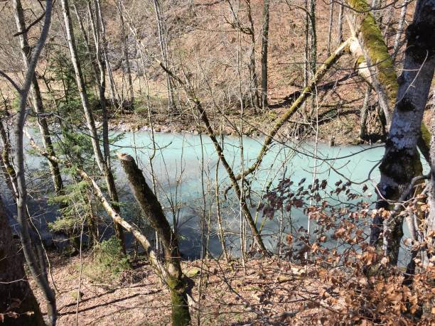 Wild mountain stream carrying melting water in early spring