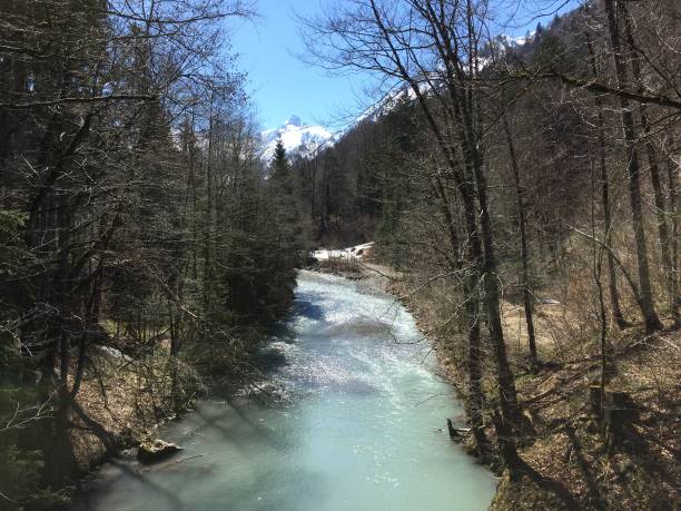 istock Wild mountain stream carrying melting water in early spring 1145482061