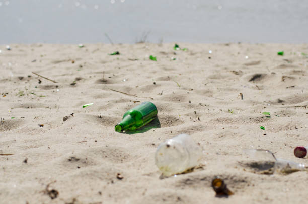 istock shard bottle among the shells on the sandy beach 1145484478