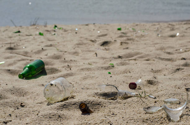 istock shard bottle among the shells on the sandy beach 1145484608