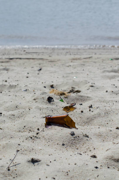 istock shard bottle among the shells on the sandy beach 1145485339