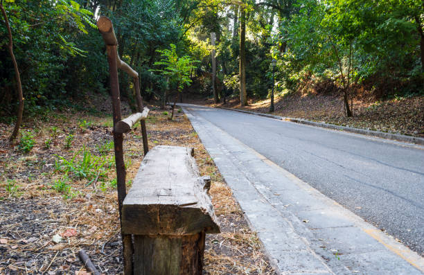 istock Mon Repos park, Corfu Town, Greece 1145489691