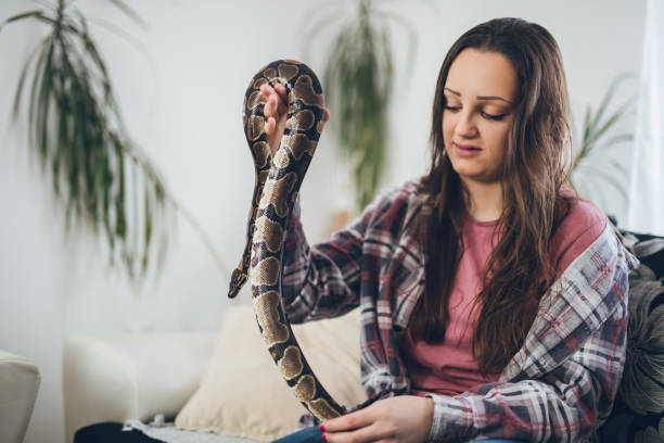 istock Young woman and her pet snake 1145490986