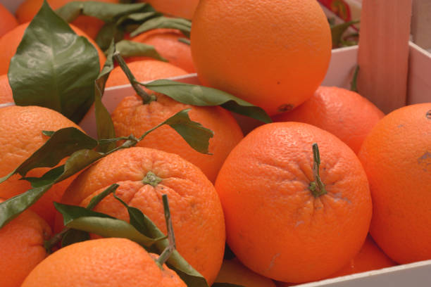 istock oranges on market with green leaves 1145494161