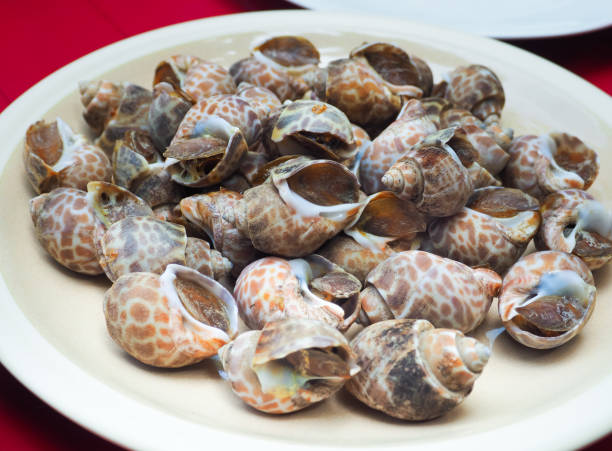 istock Boiled fresh Laevistrombus canarium served on white plate. 1145495169