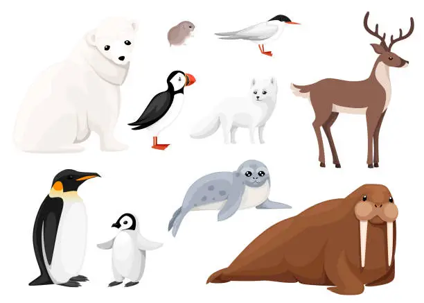 Vector illustration of Set of arctic animals icon. Birds and mammals. Arctic animal, cartoon flat design. Vector illustration isolated on white background