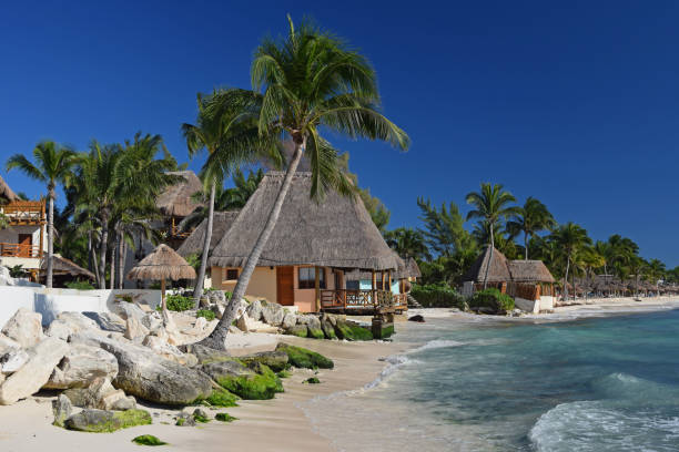 Shot on the Caribbean houses on the beach.