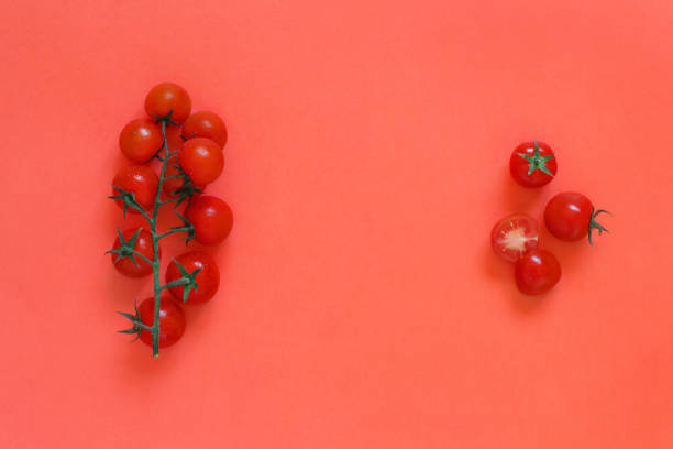 istock Cherry tomatoes on a coral red background 1145497657
