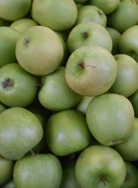 Large bunch of green Granny Smith Apples at a Farmers Market.