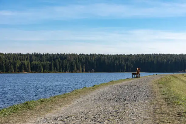 hiking trail with wooden bench around a lake in the spring