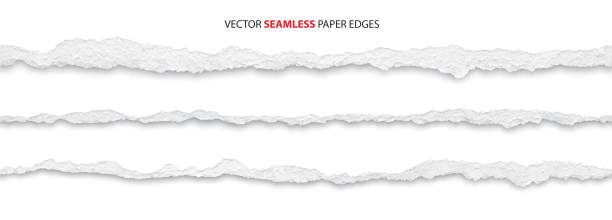 torn paper edges, vector realistic torn paper edges, vector illustration paper textures stock illustrations