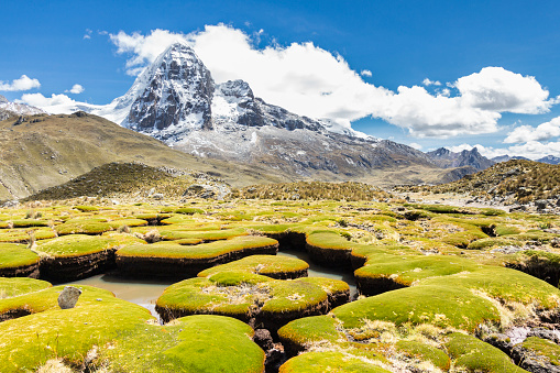 A layer of very resistant plants is covering an area which is eroded by flowing water in front of an ice capped mountain peak at Cordillera Huayhuash which is a mountain range within the Andes of Peru, in the boundaries of the regions of Ancash, Lima and Huánuco. Since 2002 it is protected within the Cordillera Huayhuash Reserved Zone.\nCanon EOS 700D, 1/125, f/8, 18 mm.