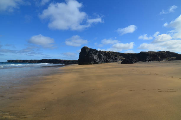 istock Yellow Sand Beach in Iceland 1145505447