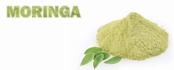 istock Fresh leaves and moringa powder - Moringa oleifera. 1145505479
