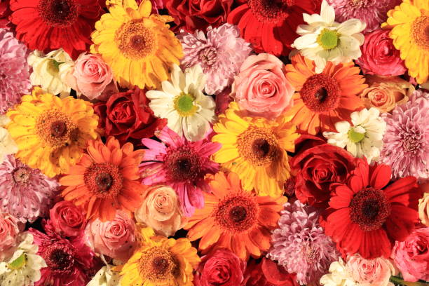 istock Colorful wedding flower arrangement 1145513414