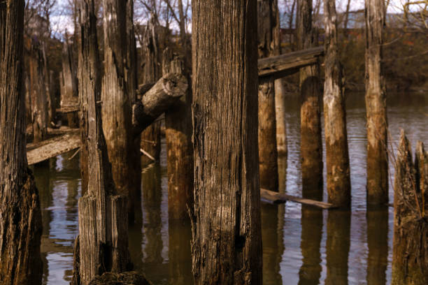 landscape with fragments of wooden piles of old destroyed bridge close up