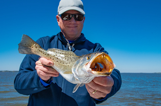 Fisherman on the Gulf of Mexico with large spotted sea trout.