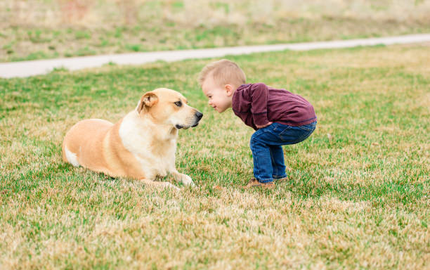 istock Boy and Dog Saying Hello 1145522003