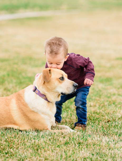 istock Boy Loves Pet Dog 1145522011