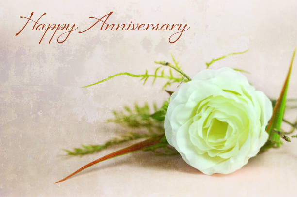 istock Happy Anniversary card. White artificial rose on grunge background 1145522912